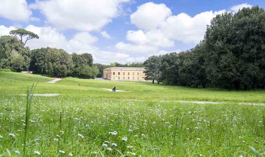 Bosco di Capodimonte