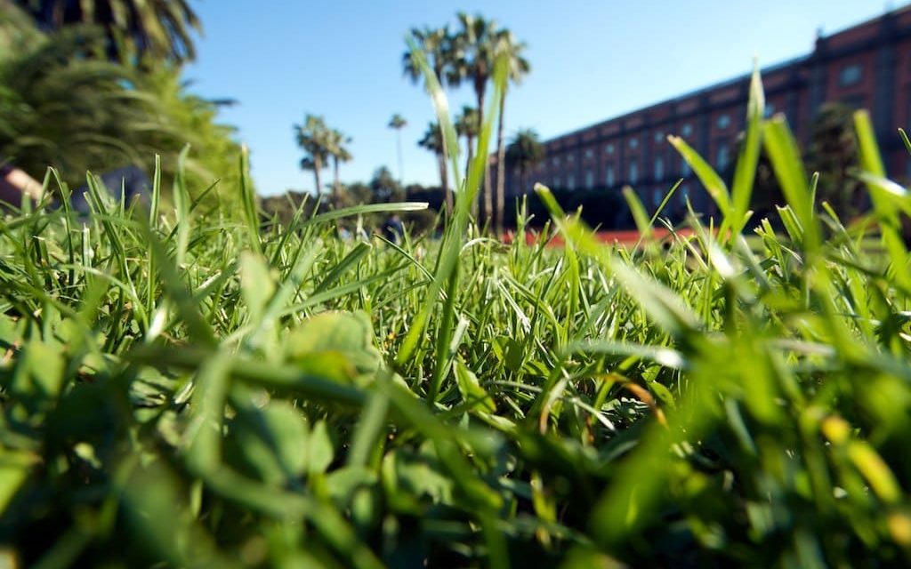 Parchi e giardini di Napoli