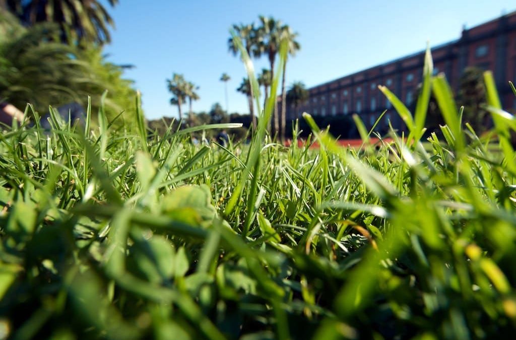 Parchi e giardini di Napoli