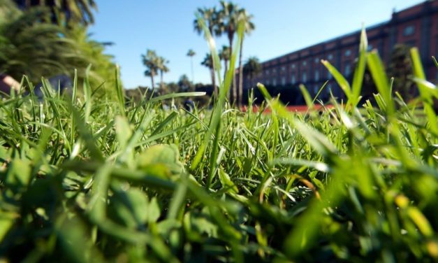 Parchi e giardini di Napoli