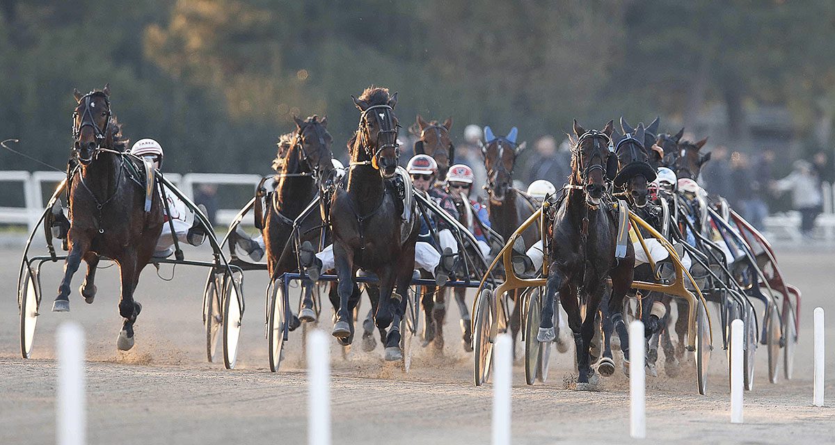 Ippodromo di Agnano a Napoli, non solo galoppo