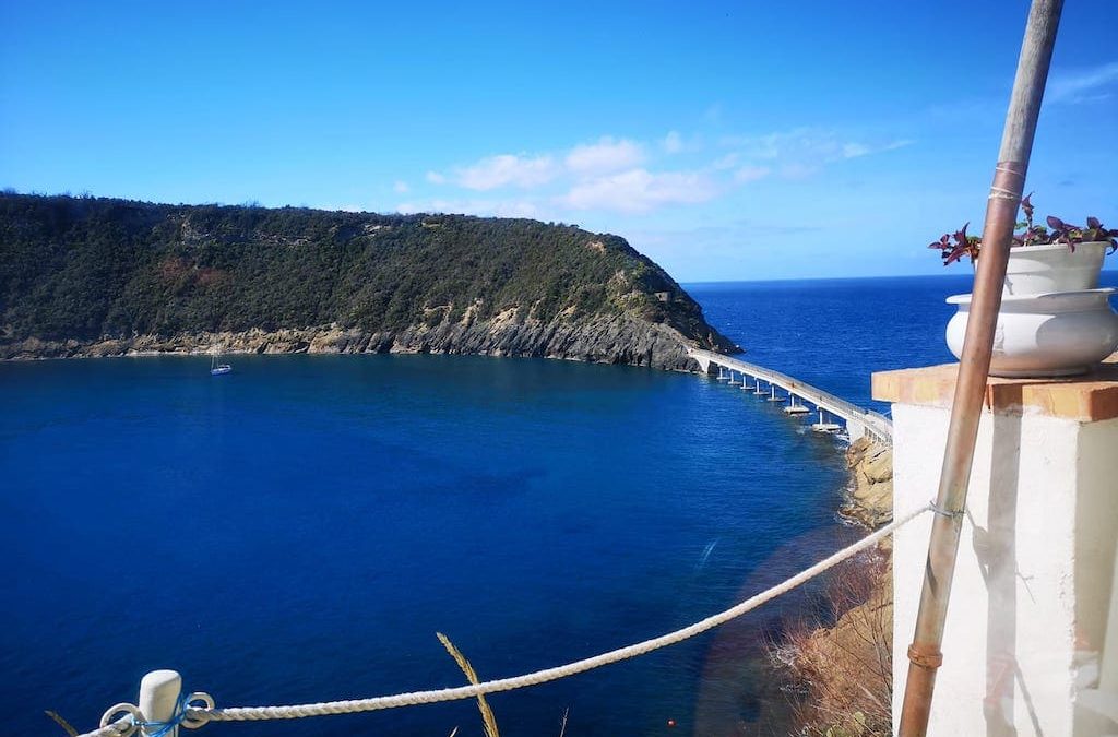 Isola di Vivara, l’oasi naturalistica di Procida