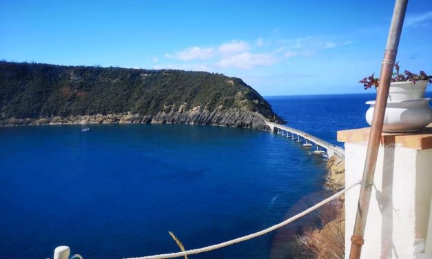 Isola di Vivara, l’oasi naturalistica di Procida