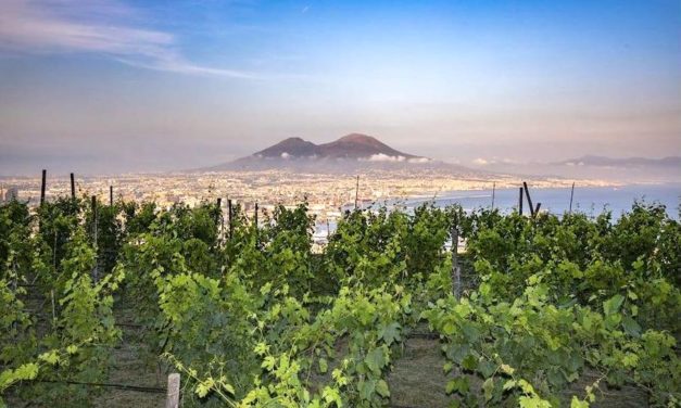 La Vigna di San Martino, l’antico podere dei monaci della Certosa
