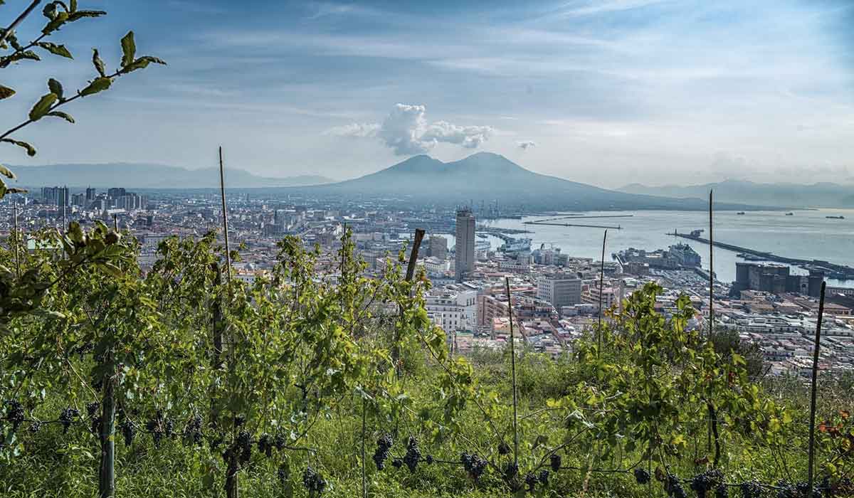 Vigna di San Martino, Napoli