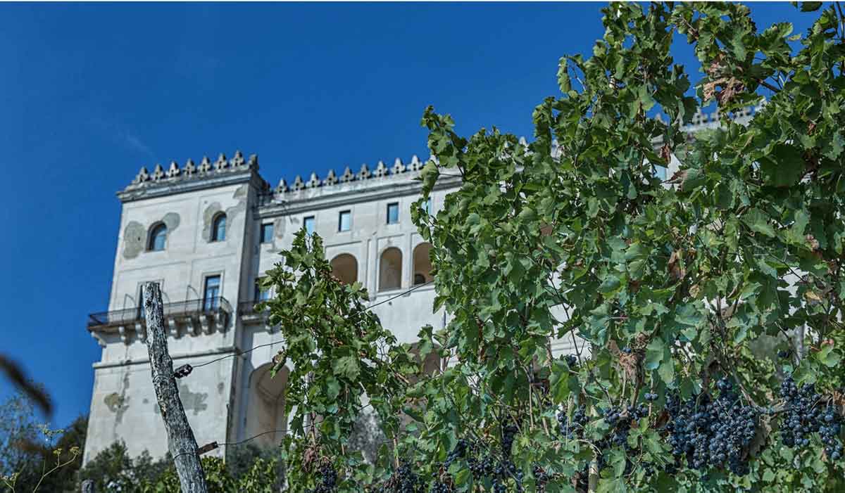 Vigna di San Martino, Napoli