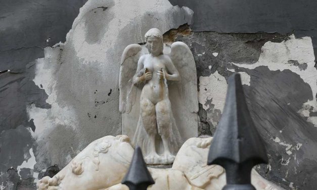 Fontana della Spinacorona o delle Zizze, Napoli
