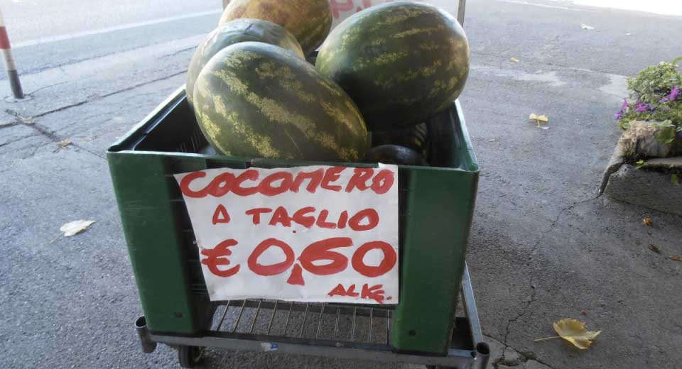 Anguria o Cocomero