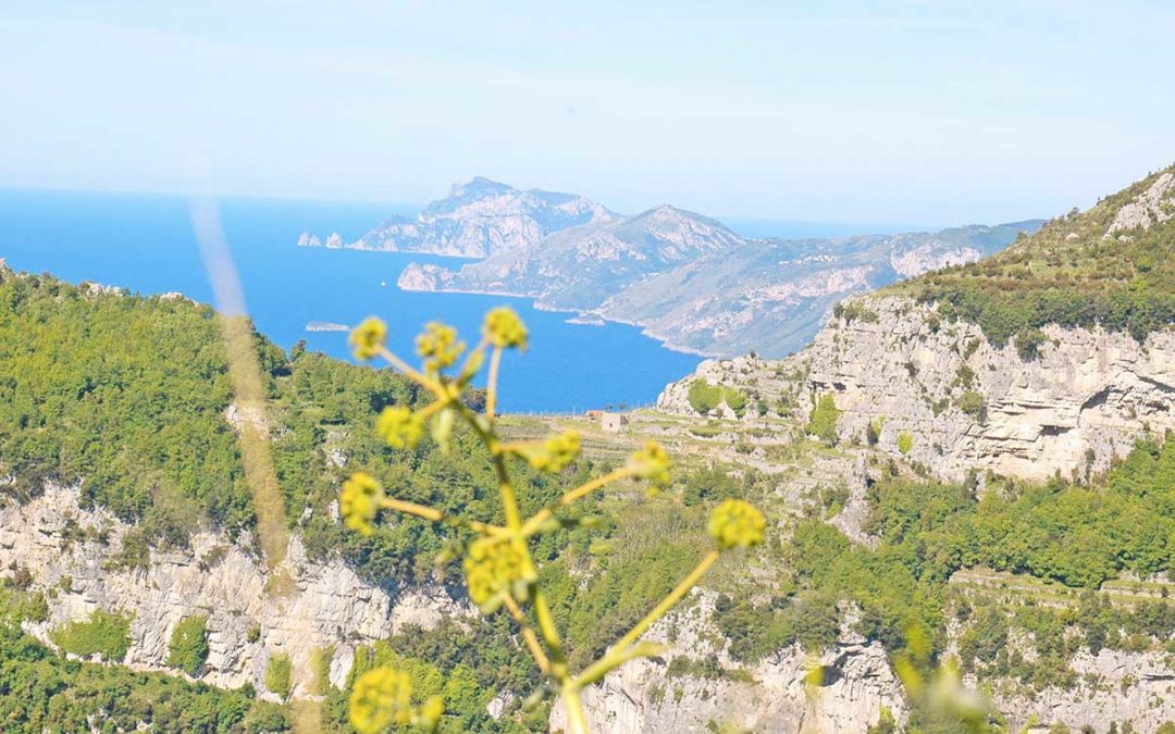 Il sentiero degli Dei, costiera Amalfitana