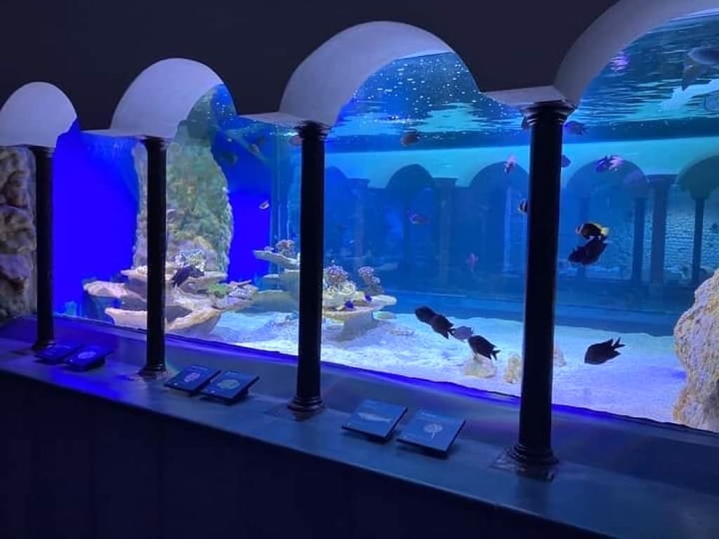 Acquario di Napoli - Stazione Zoologica Anton Dohrn