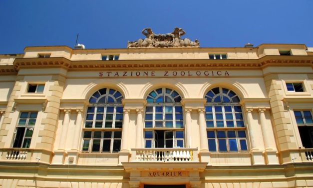 Acquario di Napoli: Stazione Zoologica Anton Dohrn