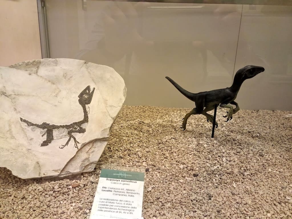 Ciro - Il Cucciolo di Dinosauro - Scipionyx samniticus