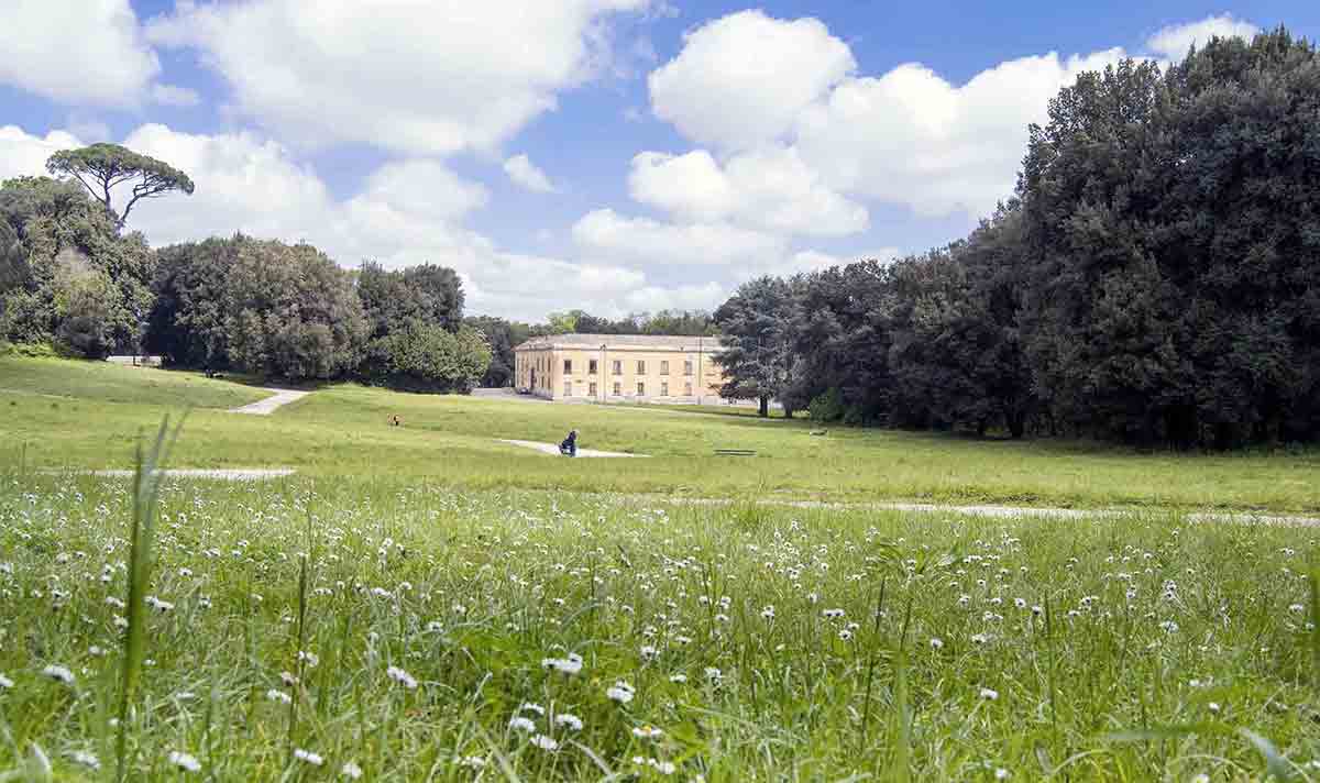 la Real Fabbrica di Capodimonte