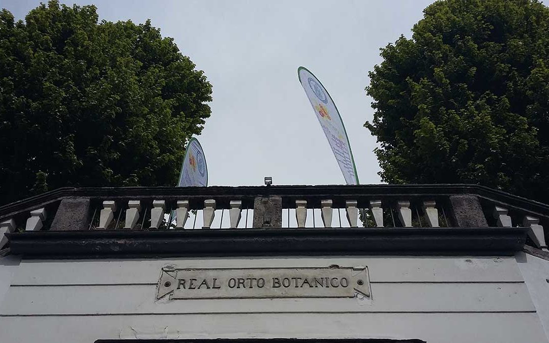Real Orto Botanico di Napoli