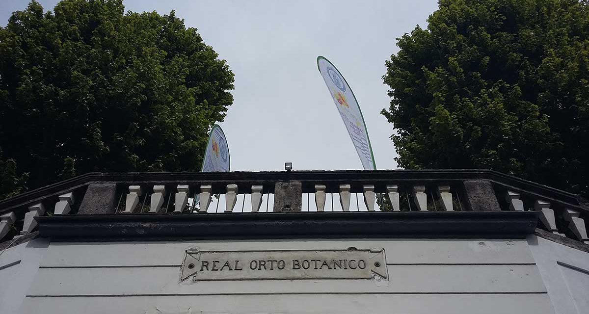 Real Orto Botanico di Napoli