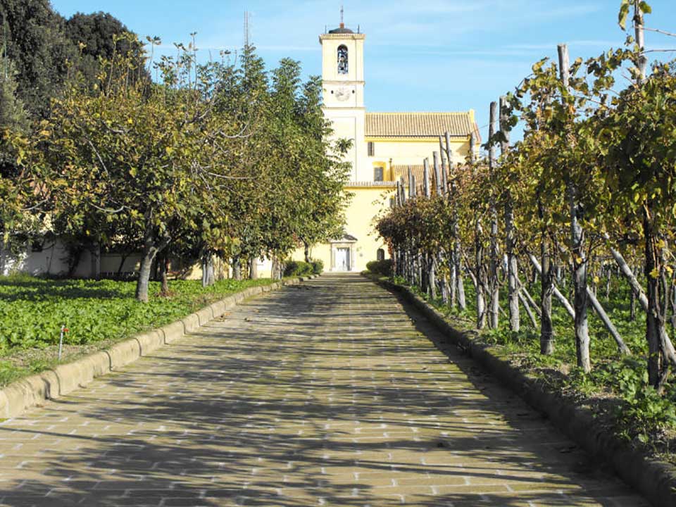 Eremo dei Camaldoli - Viale ingresso