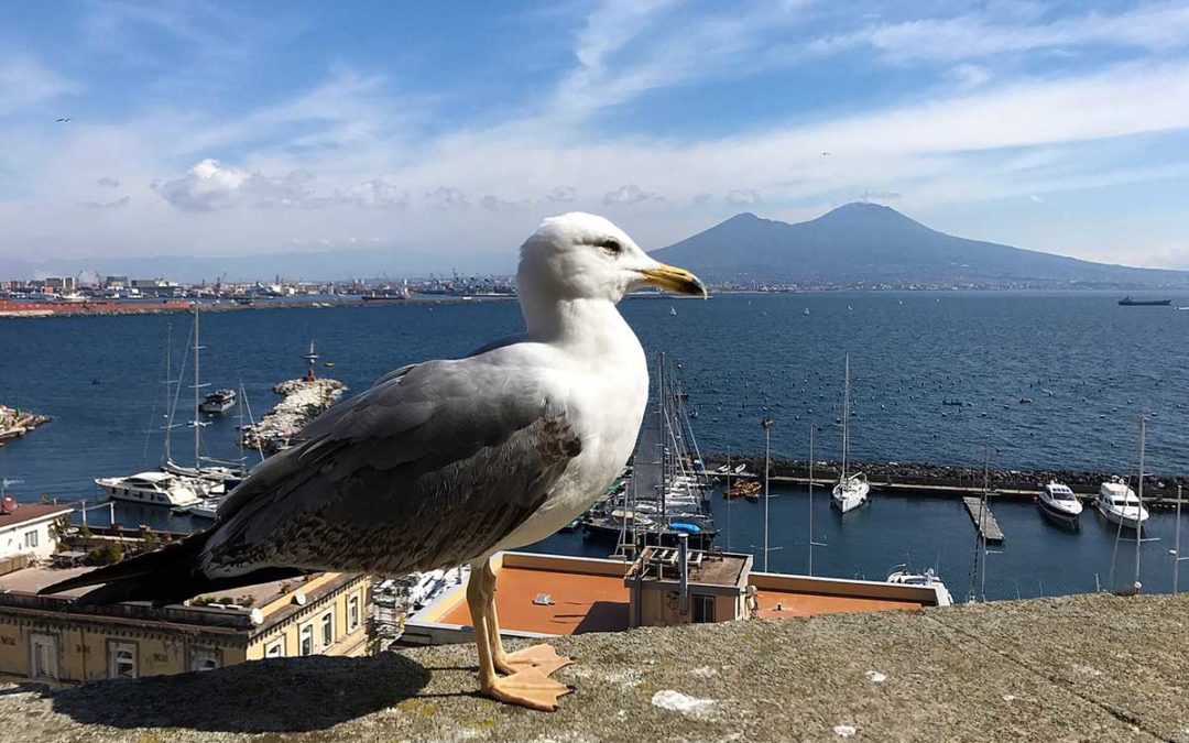 Napoli: come rimettersi in forma dopo le feste