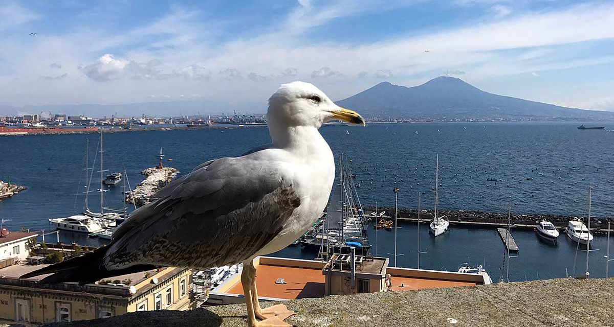 Napoli: come rimettersi in forma dopo le feste