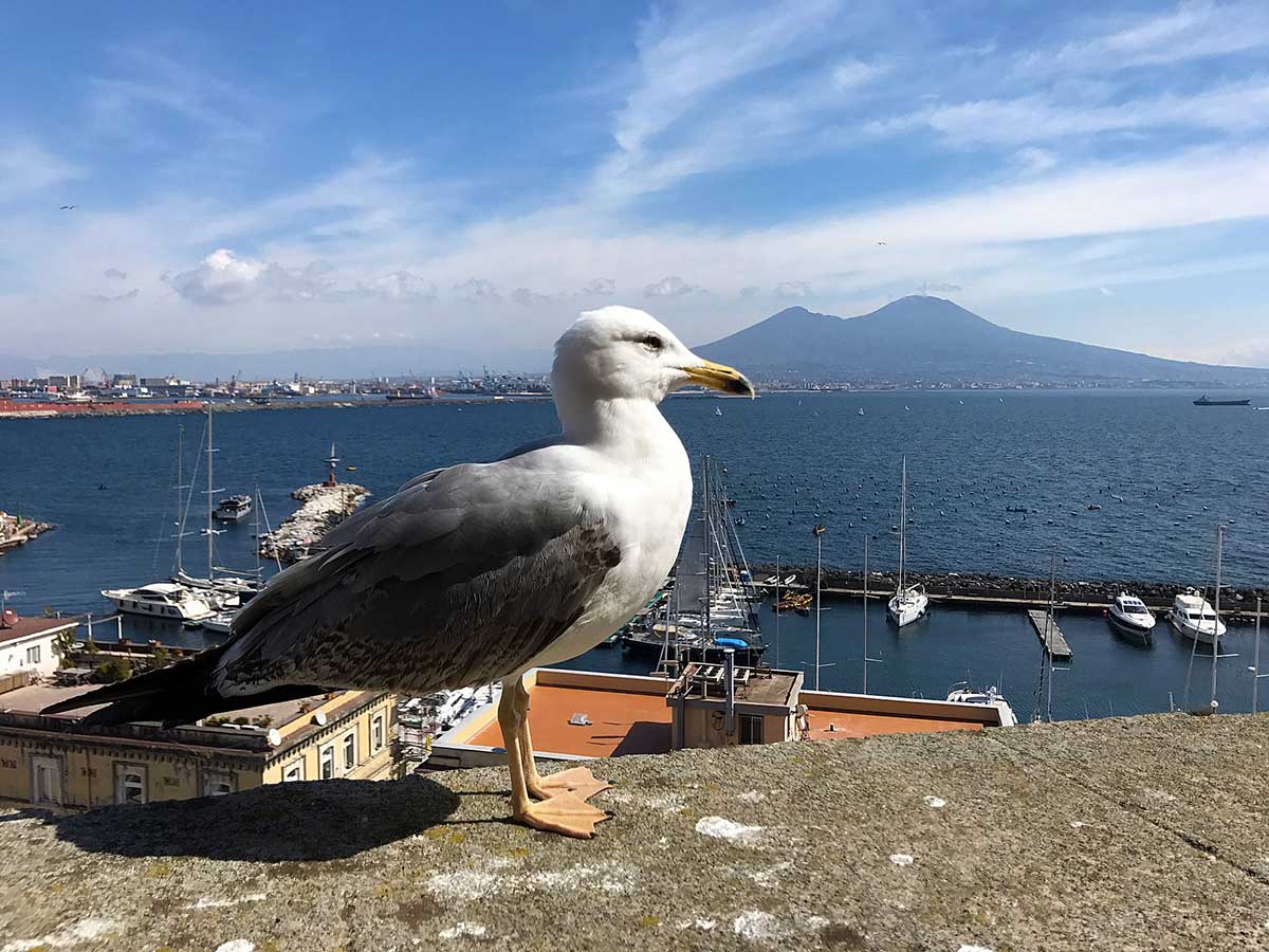 Rimettersi in forma a Napoli