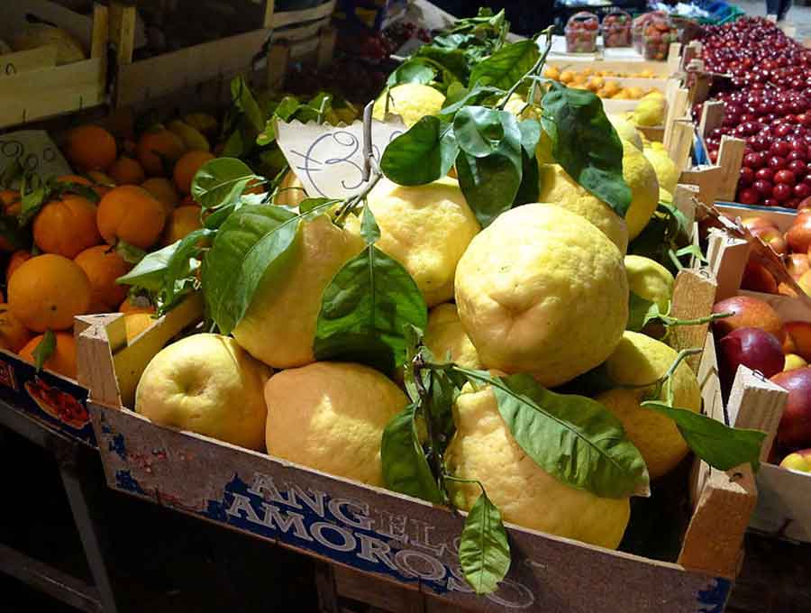 Limone gigante Limoncello