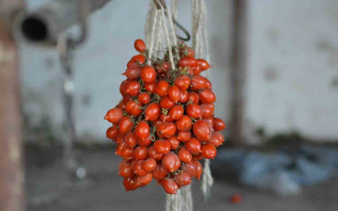 Pomodorino del Piennolo del Vesuvio