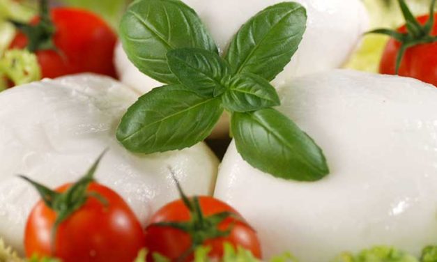 Mozzarella di Bufala Campana DOP