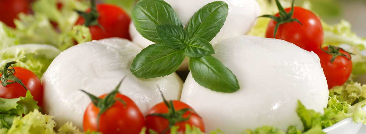 Mozzarella di Bufala Campana DOP