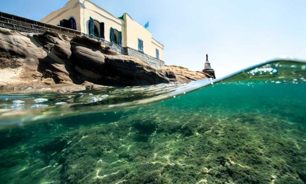 Immersione Virtuale nel Parco Sommerso della Gaiola