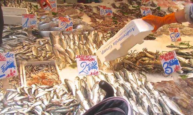 I cinque mercati del pesce più interessanti di Napoli