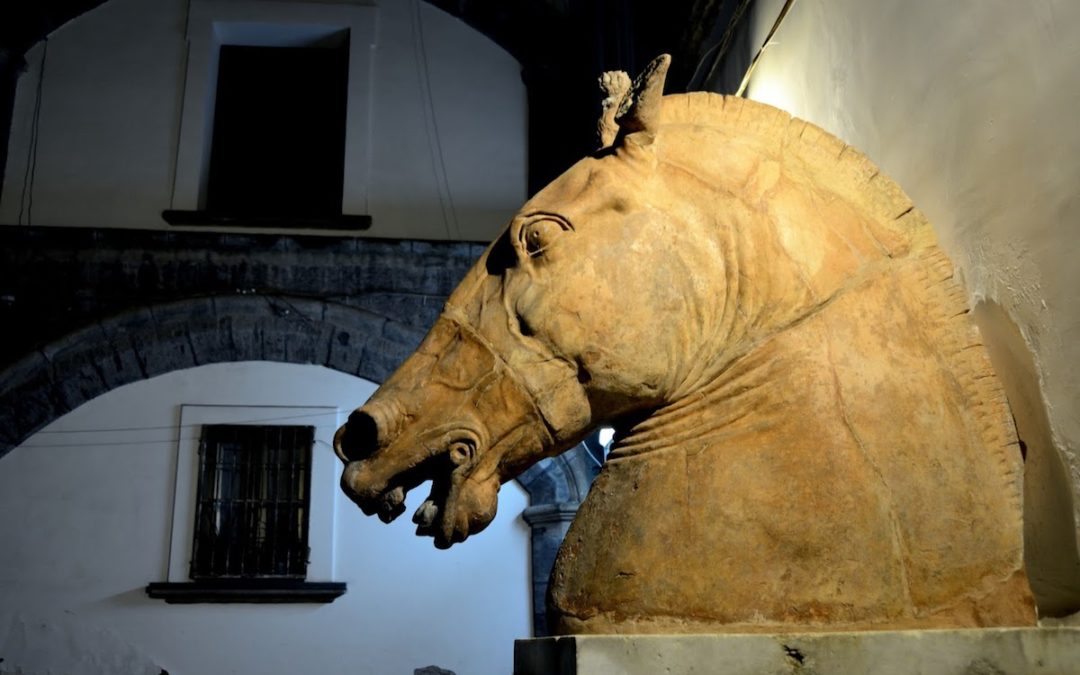 La Testa di Cavallo di Donatello, emblema di Napoli