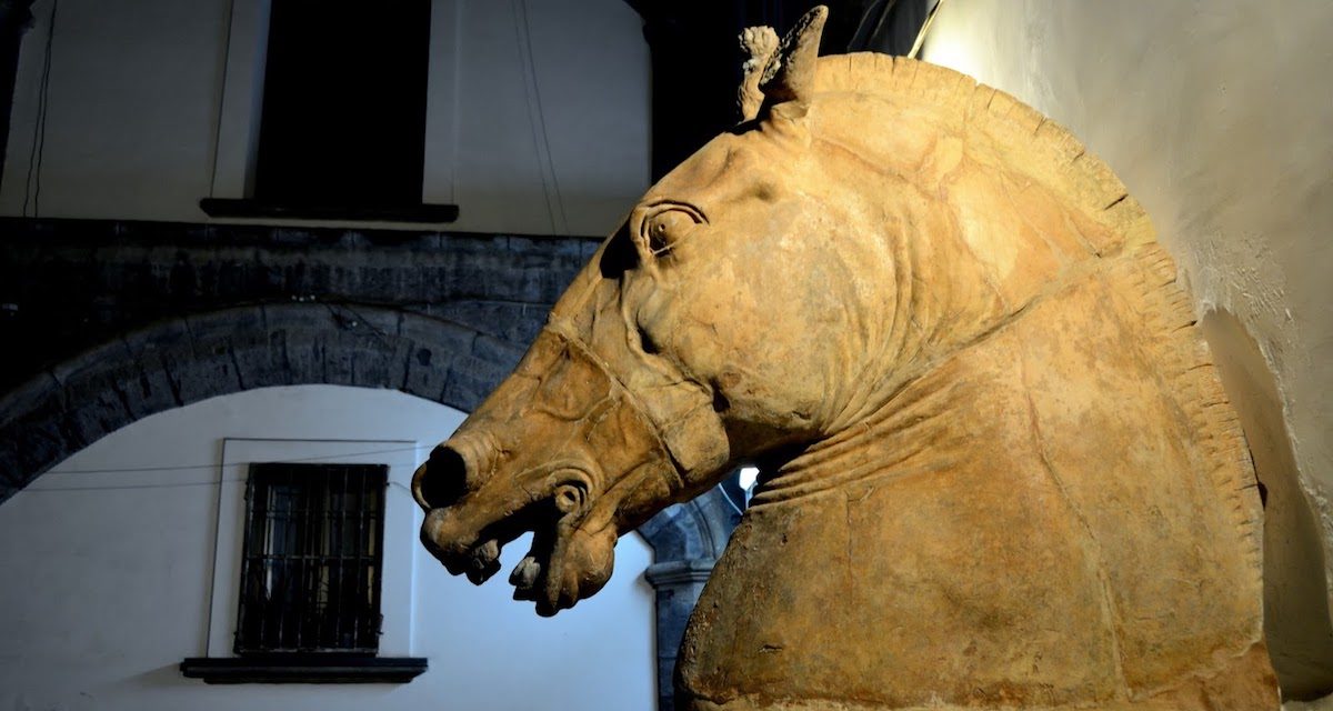 La Testa di Cavallo di Donatello, emblema di Napoli