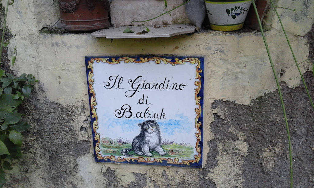 FAI d'Autunno - Il Giardino di babuk