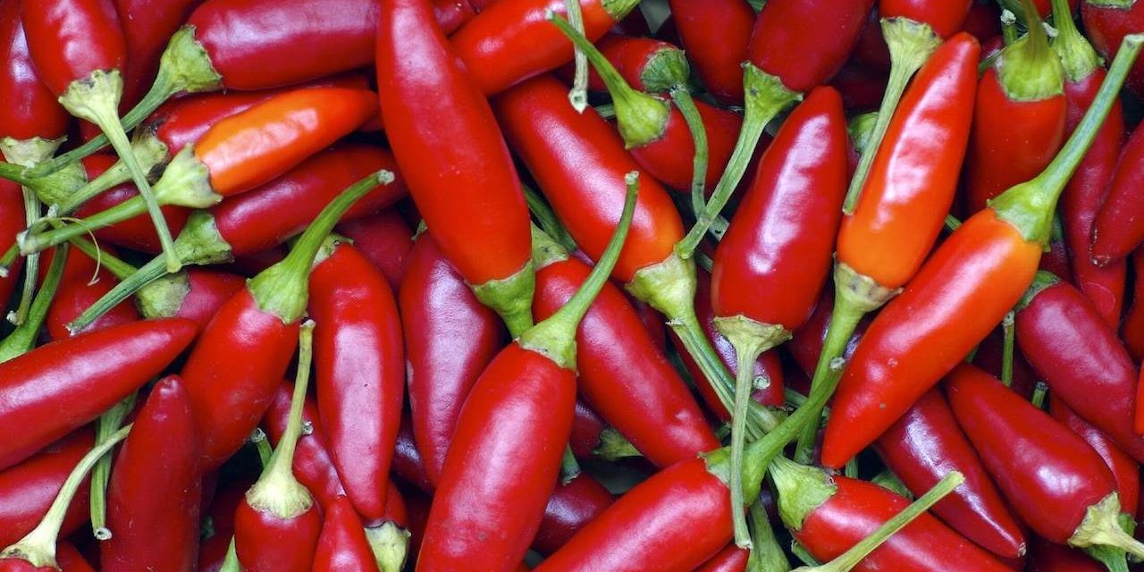 Napoli Peperoncino Fest, 15-21 ottobre 2018