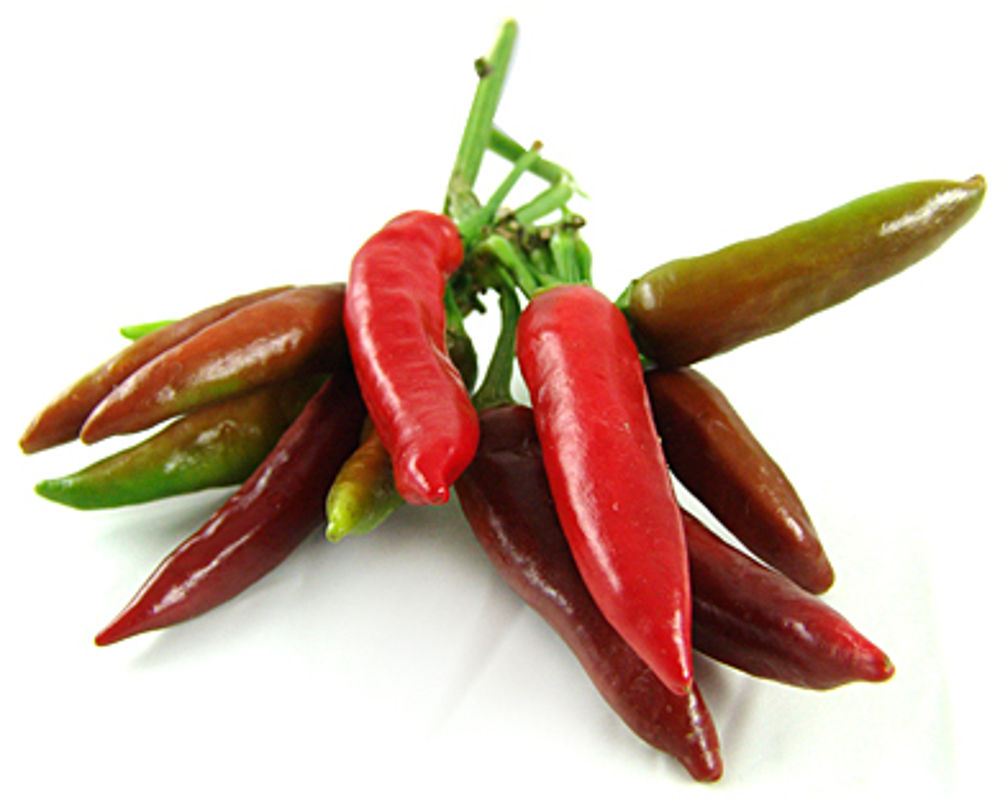Peperoncino Fest Napoli 2018