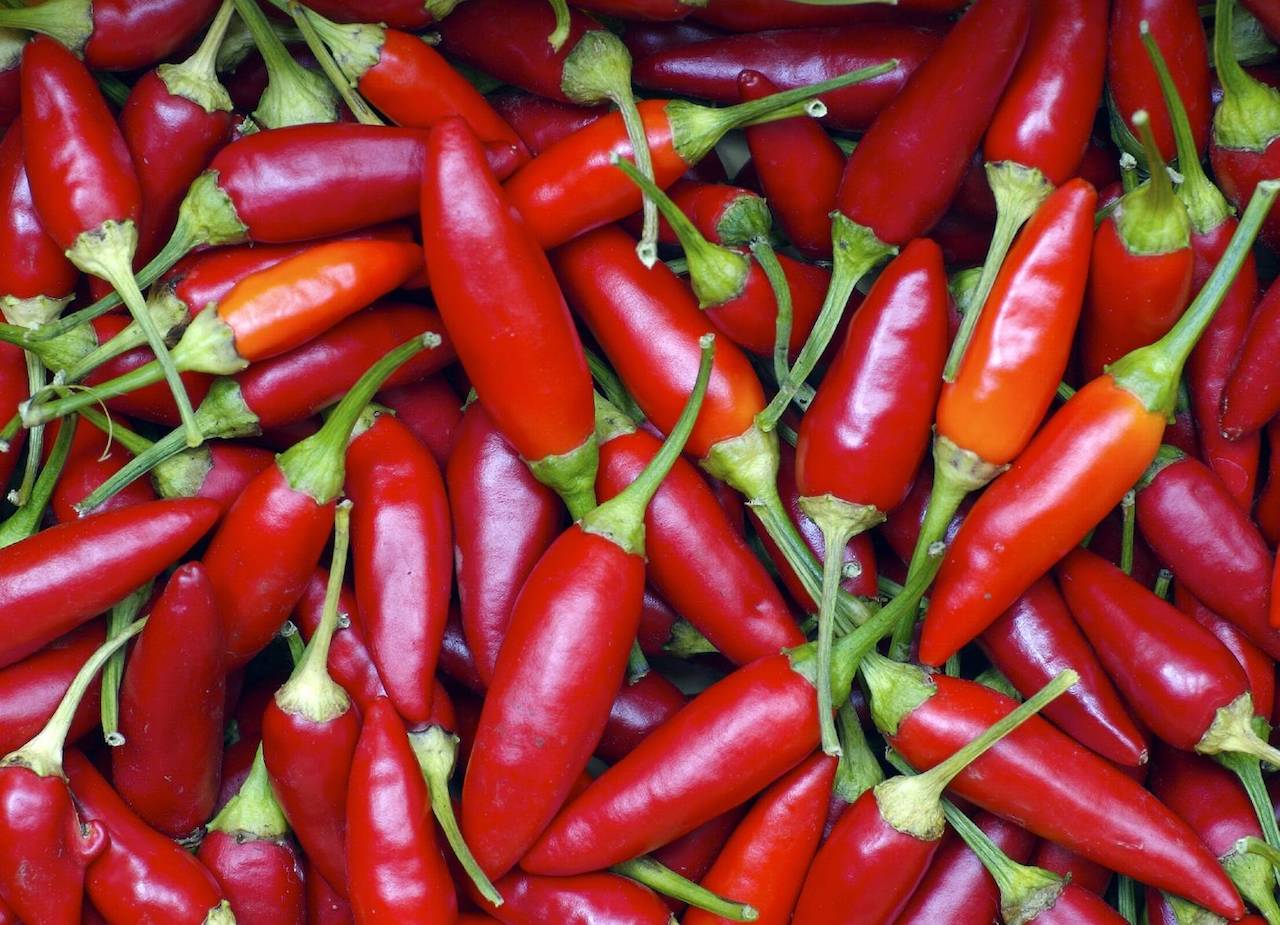 Peperoncino Fest Napoli