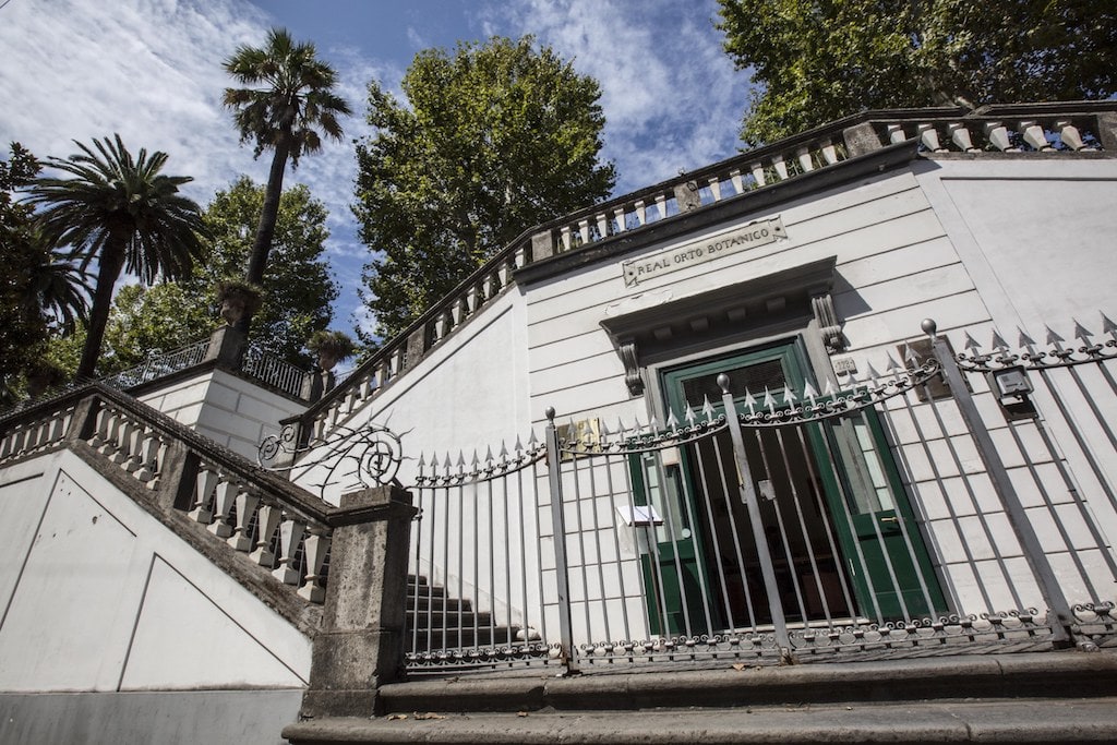 FAI d'Autunno - Real Orto Botanico Napoli