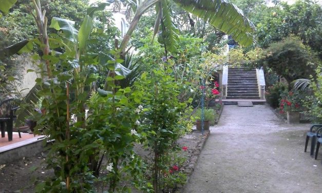 Il Giardino di Babuk, un angolo segreto e misterioso nel cuore di Napoli