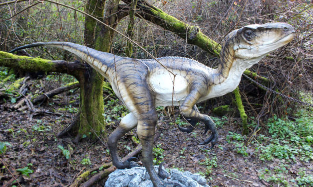 I dinosauri tornano nel Parco degli Astroni a Napoli