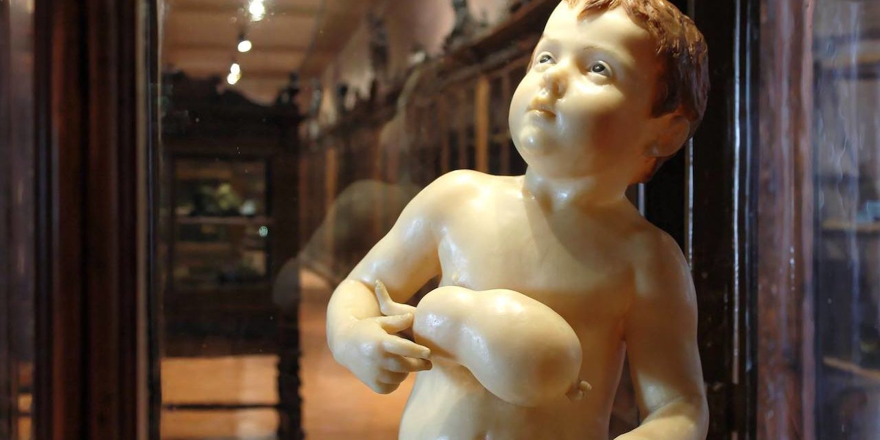 Museo di Anatomia Napoli, uno dei più antichi del mondo