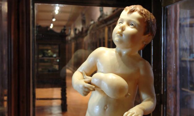 Museo di Anatomia Napoli, uno dei più antichi del mondo