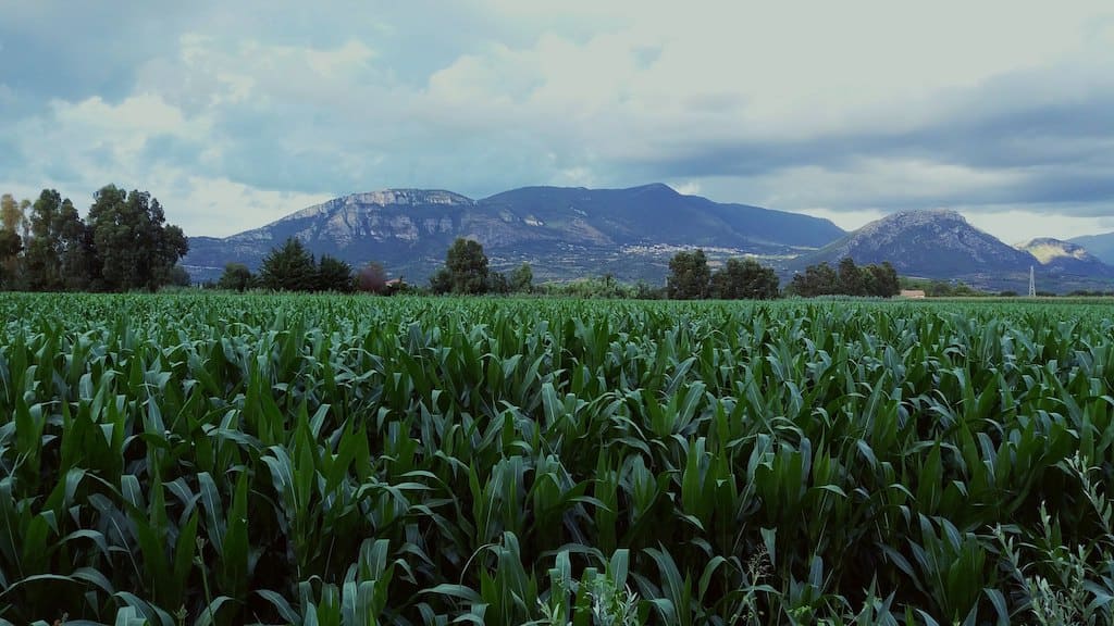 Campania Felix PH Caterina Mulieri
