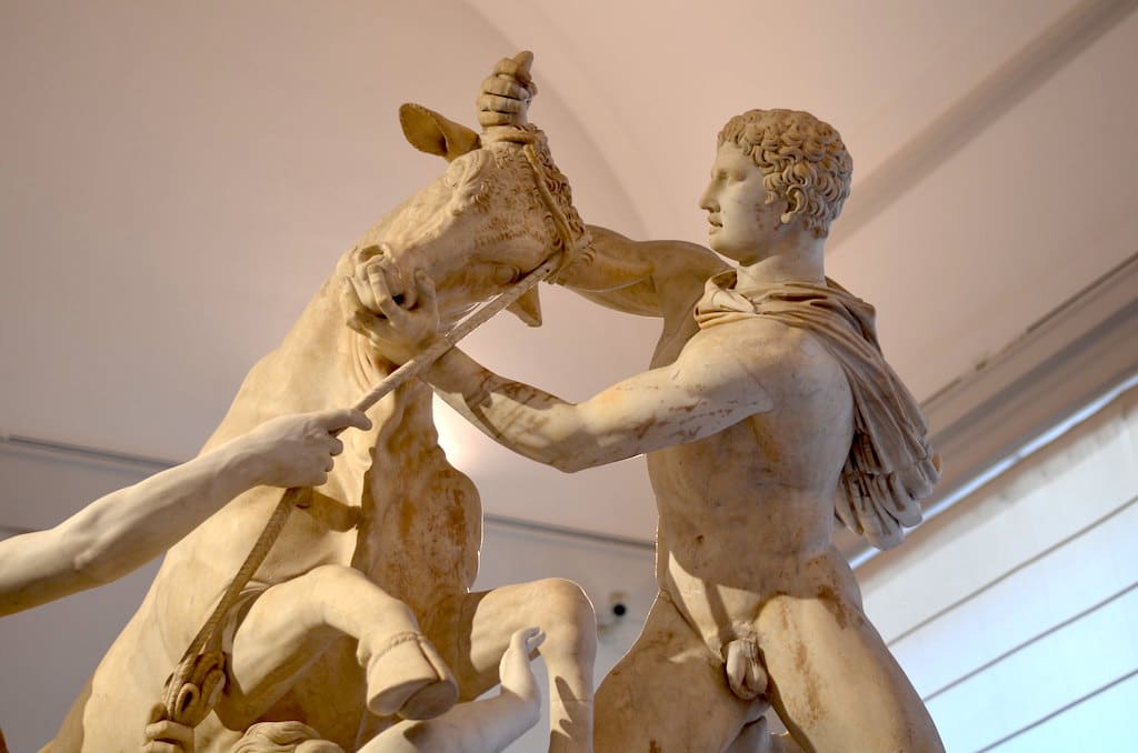 Toro Farnese - MANN napoli