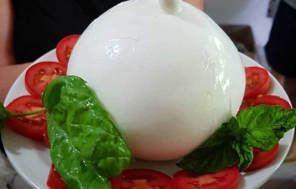 Zizzona di Battipaglia, non è una semplice Mozzarella