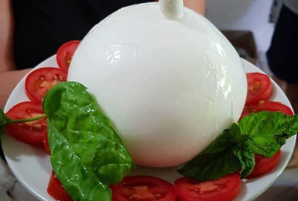 Zizzona di Battipaglia, non è una semplice Mozzarella