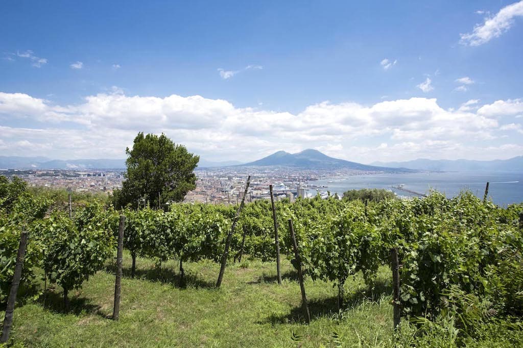 Napoli Vigna di San Martino