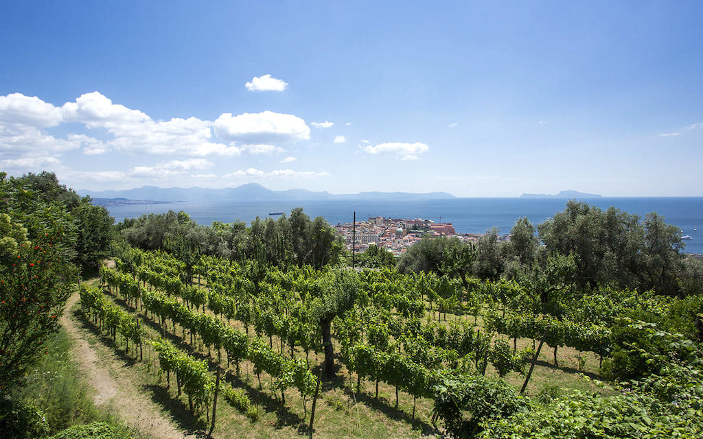 Vigna di San Martino, passeggiata con aperitivo