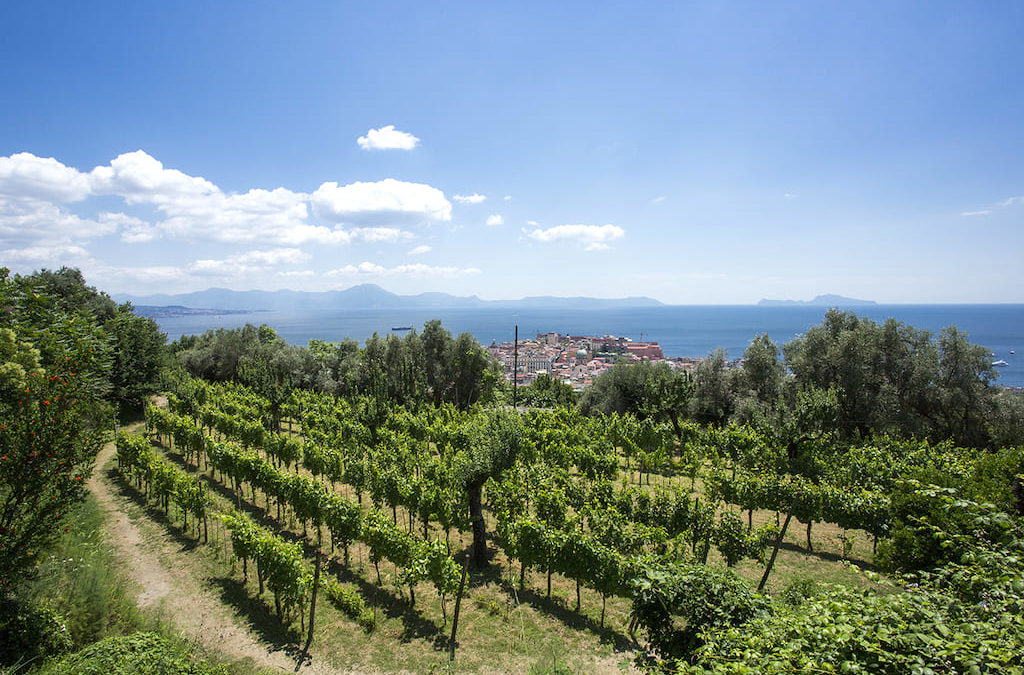 Vigna di San Martino, passeggiata con aperitivo