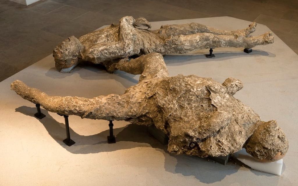 Pompei scavi apre il nuovo dell’Antiquarium