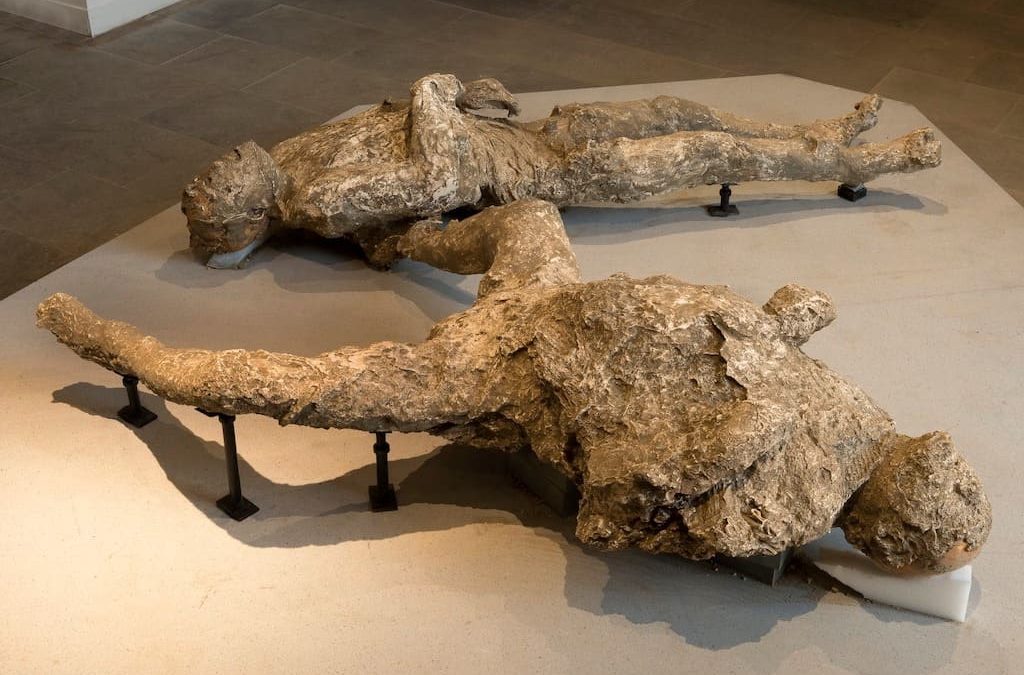 Pompei scavi apre il nuovo dell’Antiquarium