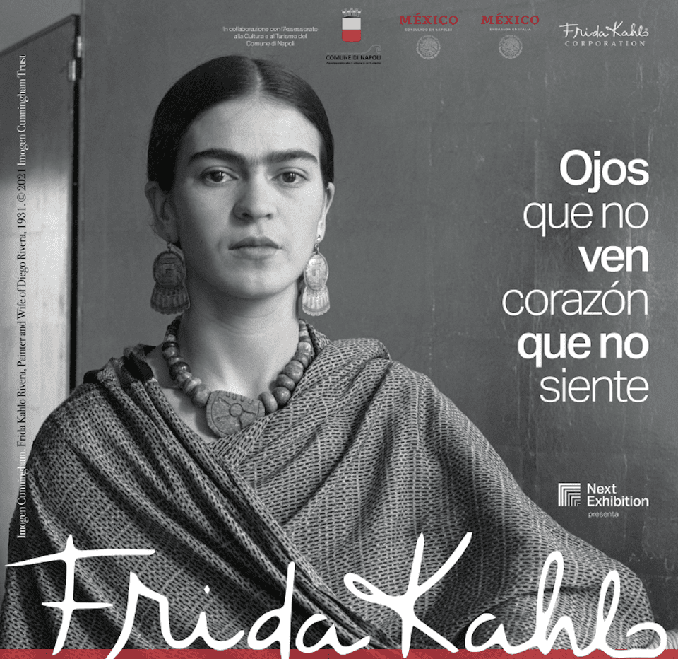 Frida Kalo al PAN